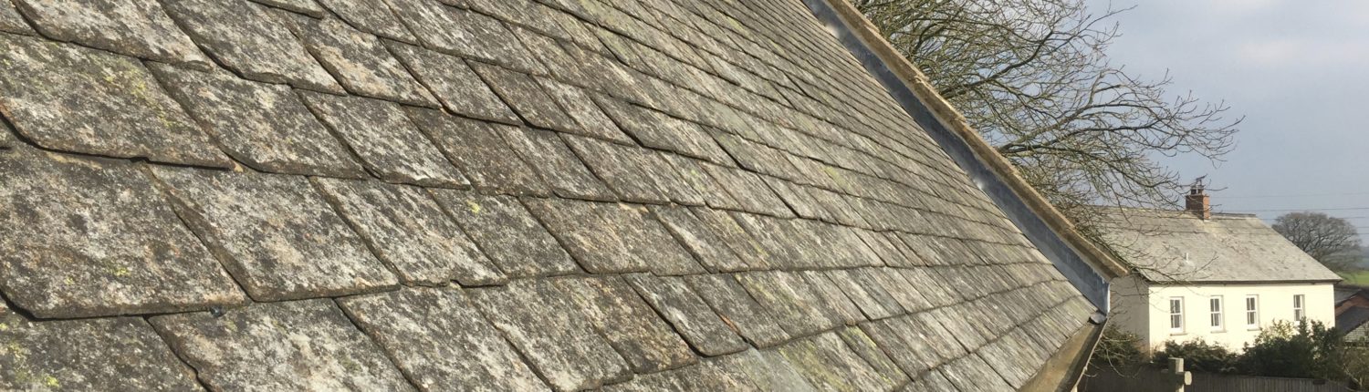 Conservation Roofing - Lapford church chancel roof, Trivillet Slate